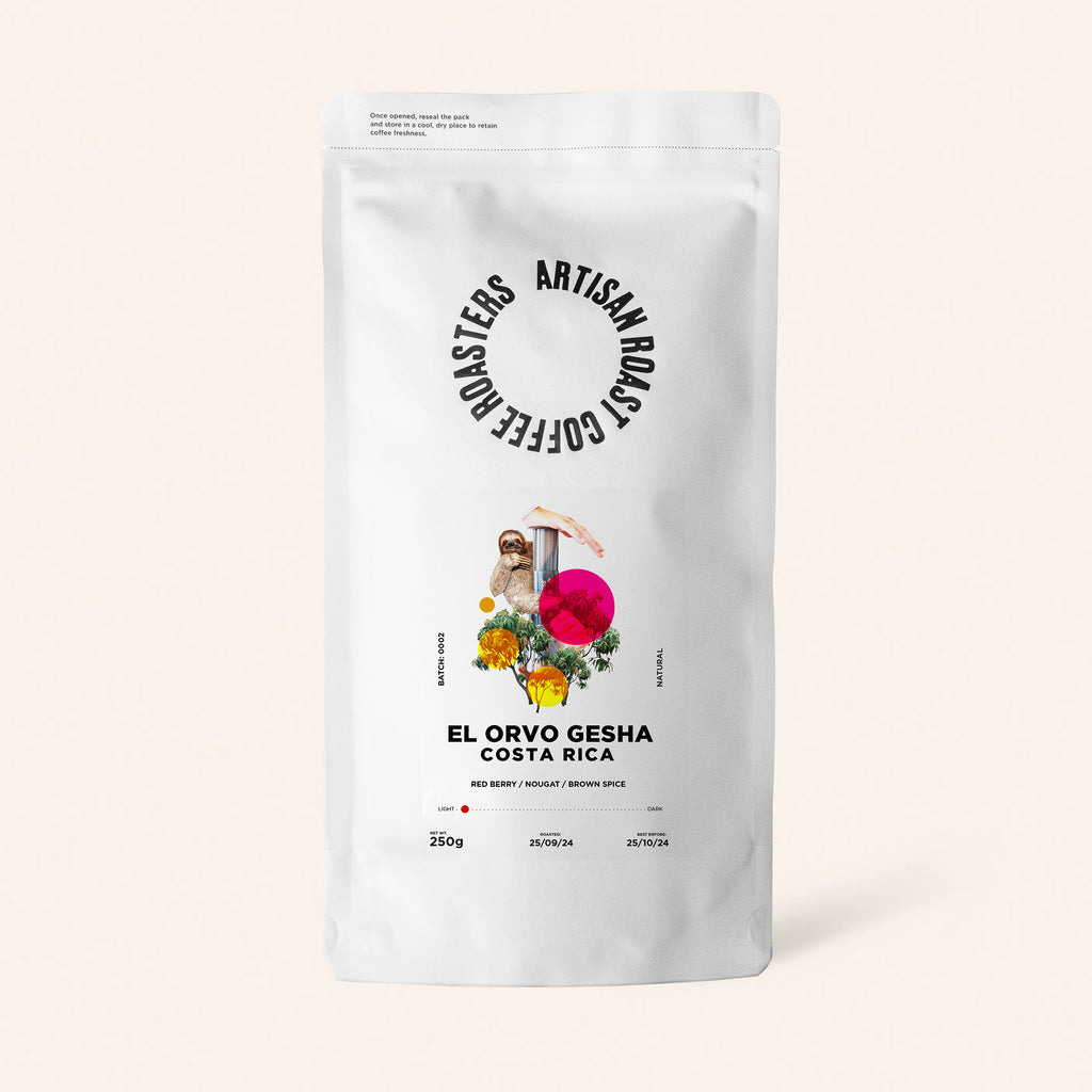 El Orvo Gesha Artisan Roast Rare Specialty Coffee Artisan Roast