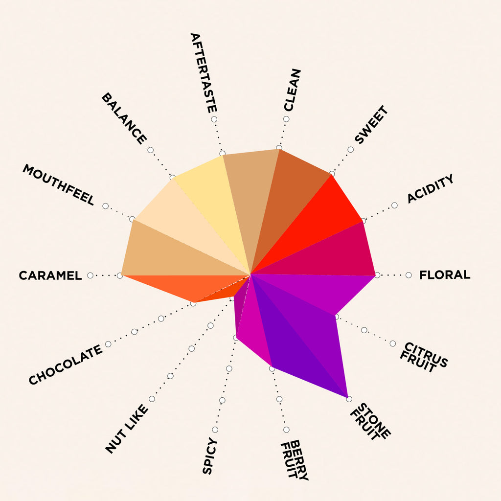 Gatta Honey Process Ethiopian Coffee Artisan Roast Artisan Roast