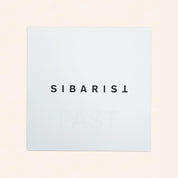 Cone XL filters (100)