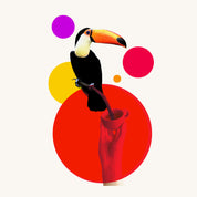 Alto El Vapor: El Cipresal