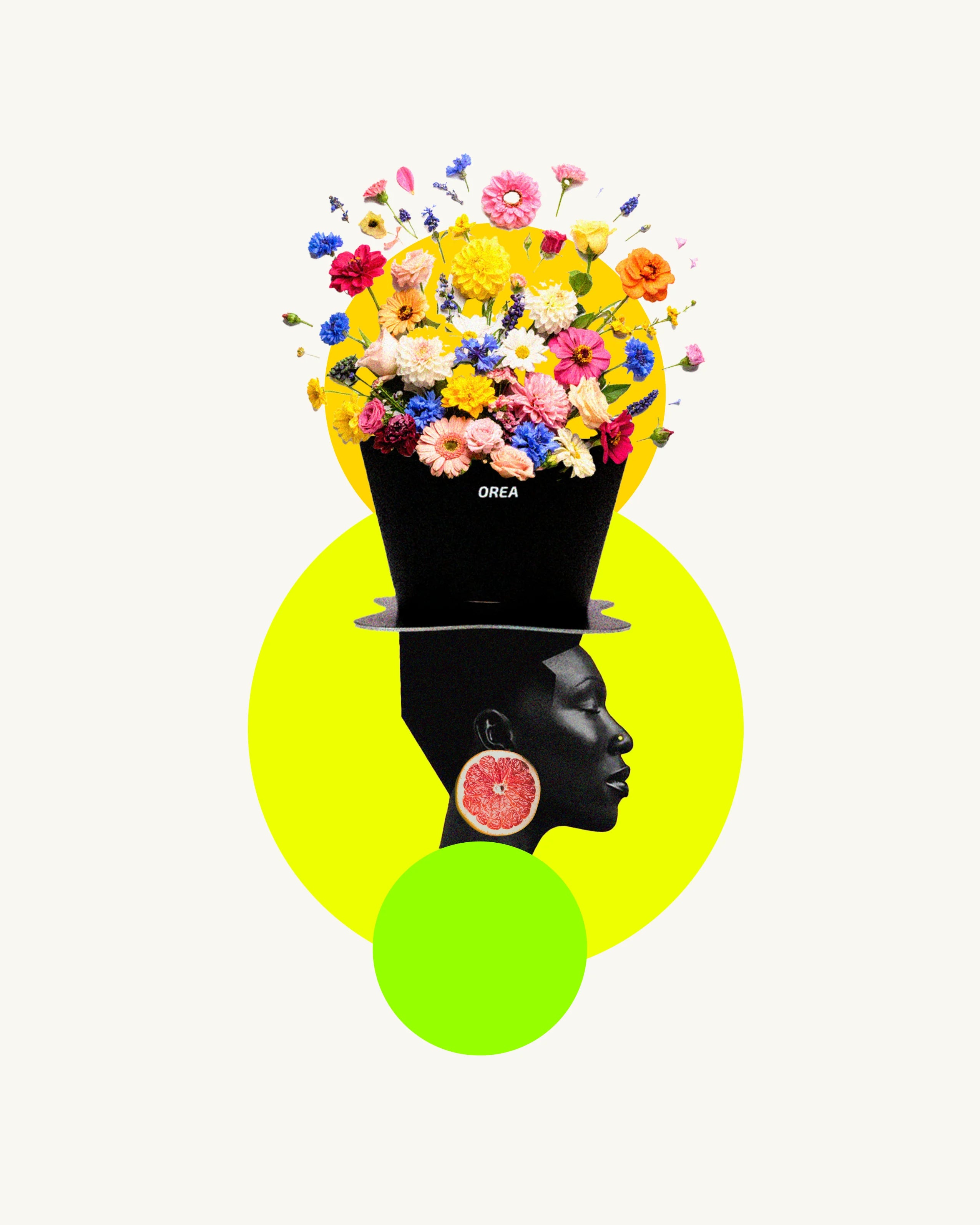 malawaillustration.webp