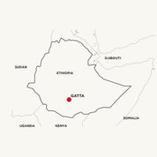 Gatta